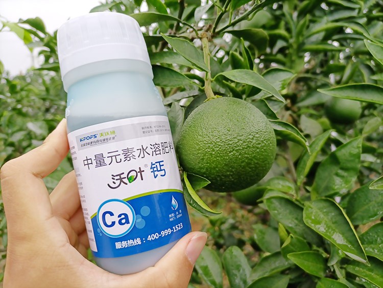 果樹補(bǔ)鈣用什么鈣肥好？