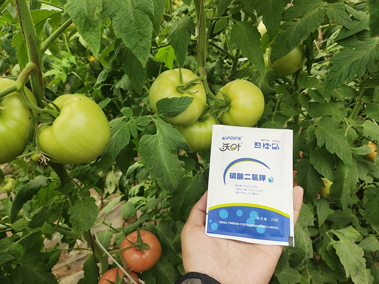 購(gòu)買(mǎi)磷酸二氫鉀要看哪幾點(diǎn)？