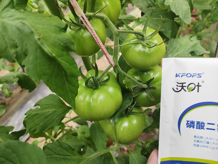 購(gòu)買(mǎi)磷酸二氫鉀要看哪幾點(diǎn)？