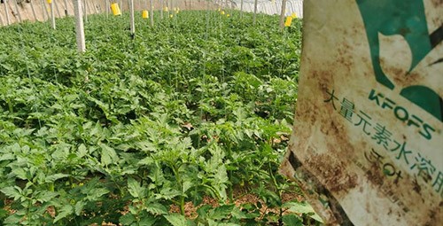 水溶肥哪種的效果好？看完別說(shuō)不知道了！