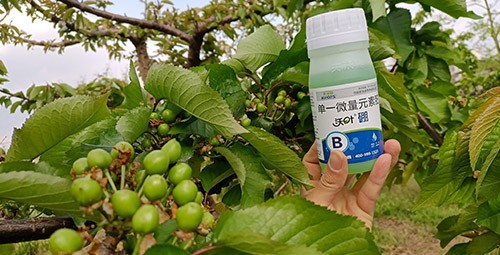 硼肥哪個(gè)品牌的好？這款不要錯(cuò)過(guò)！