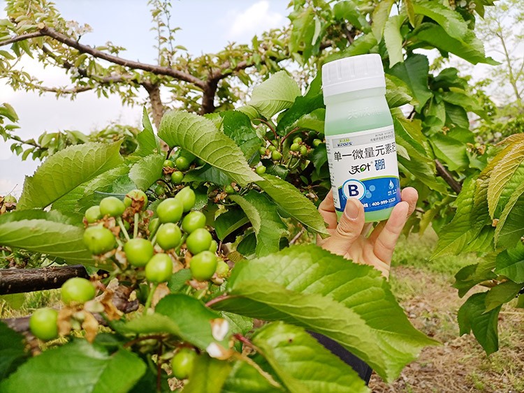 硼肥哪個(gè)品牌的好？這款不要錯(cuò)過！