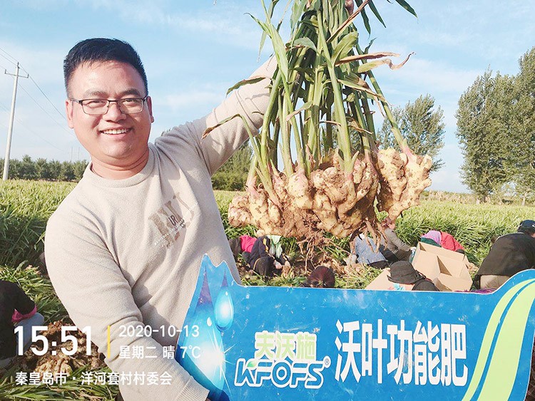 進(jìn)口水溶肥推薦你選沃葉，這就是原因！