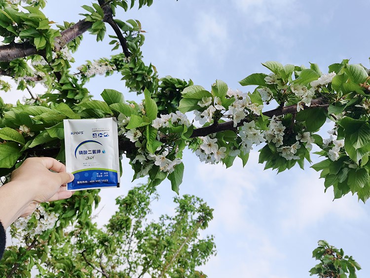 ?；ū９~面肥，她就認(rèn)準(zhǔn)這個(gè)牌子！