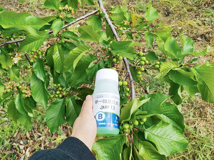 ?；ū９~面肥，她就認(rèn)準(zhǔn)這個(gè)牌子！