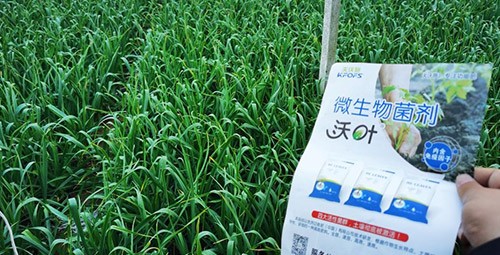 微生物菌劑選它，放心又舒心！