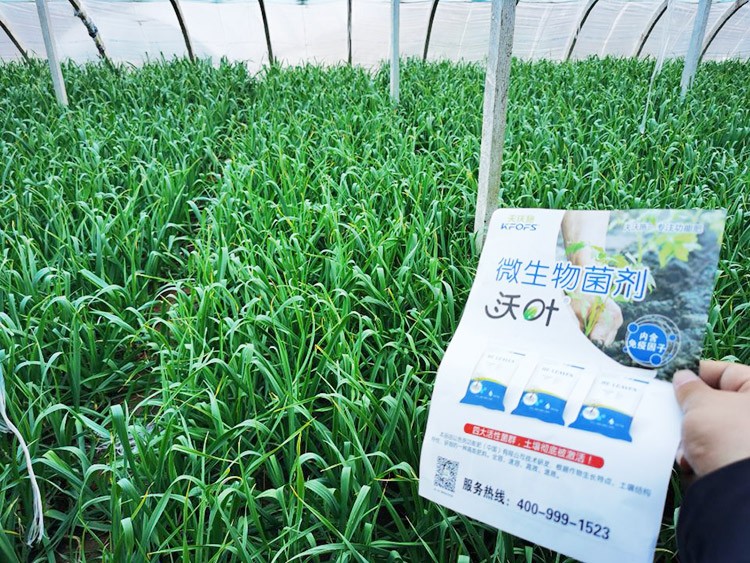 微生物菌劑選它，放心又舒心！