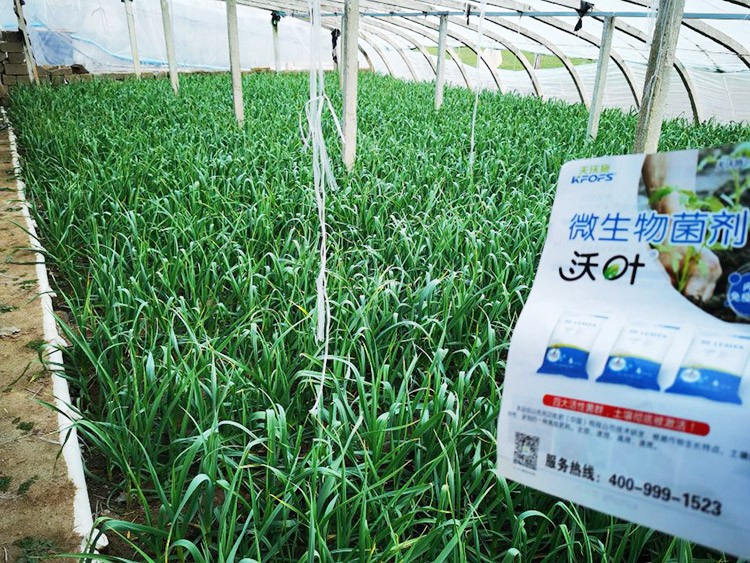 微生物菌劑選它，放心又舒心！