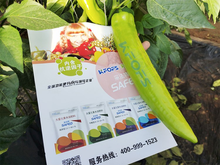 進(jìn)口水溶肥蔬菜上怎么用效果好？
