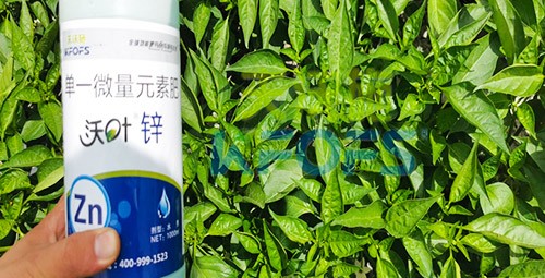 鋅肥是什么肥料？辣椒用有什么好處？