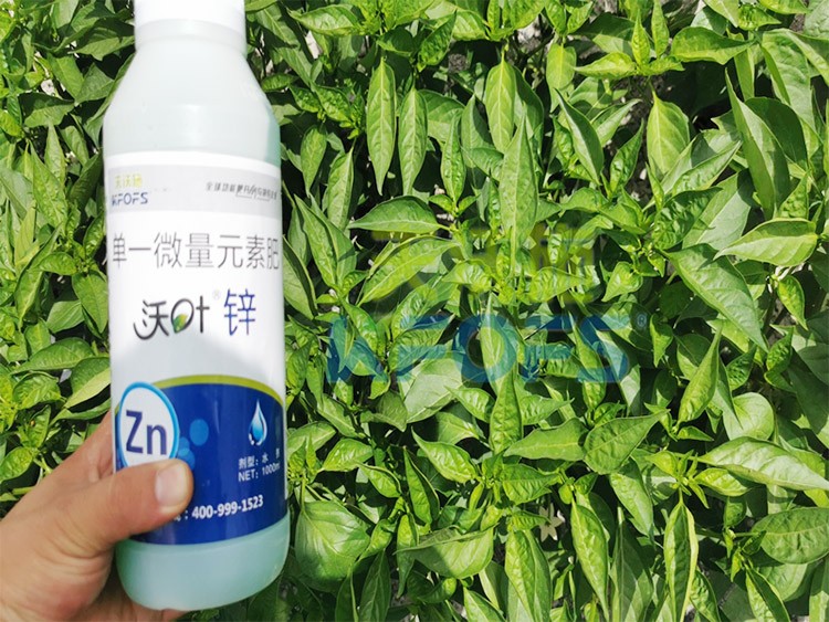 鋅肥是什么肥料？辣椒用有什么好處？