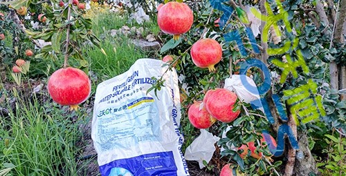 顆粒水溶肥軟籽石榴用，有這三個(gè)好處！