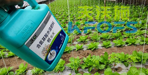 蔬菜用進(jìn)口水溶肥，有什么突出效果？