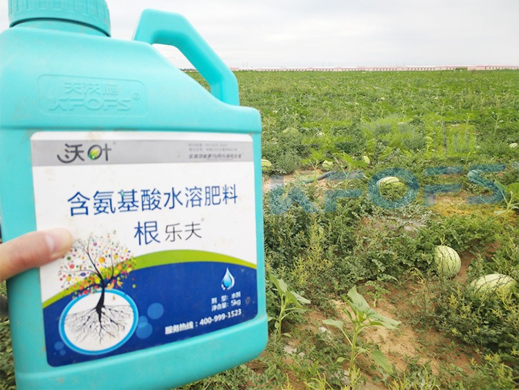 西瓜用什么進(jìn)口水溶肥好？
