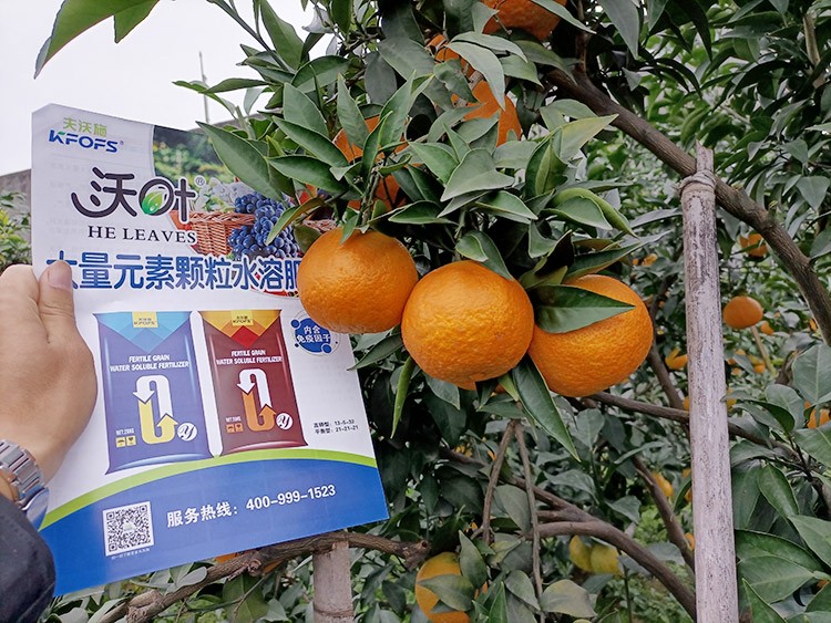 果樹水溶肥什么牌子好？