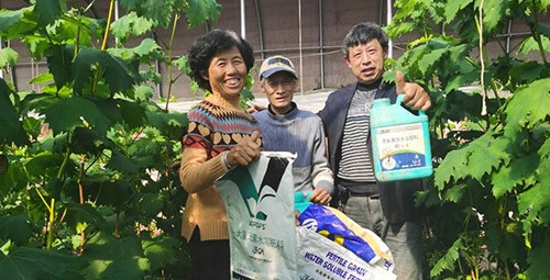 葡萄萌芽期管理技術(shù)在這里，值得收藏！