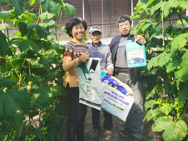 葡萄萌芽期管理技術(shù)在這里，值得收藏！