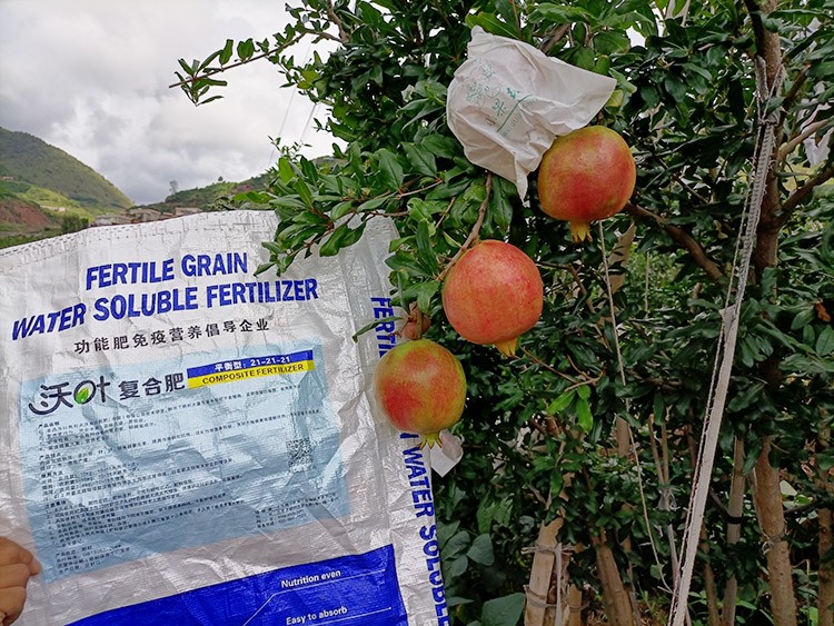 石榴施肥用什么肥料效果好？