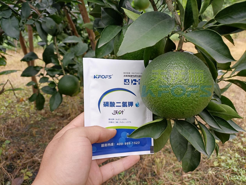 磷酸二氫鉀在果樹上使用有什么好處？