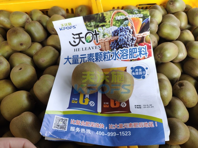 獼猴桃用哪款顆粒水溶肥產(chǎn)量高？