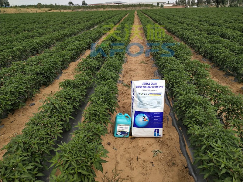 水溶肥怎么用效果好？你不一定知道！