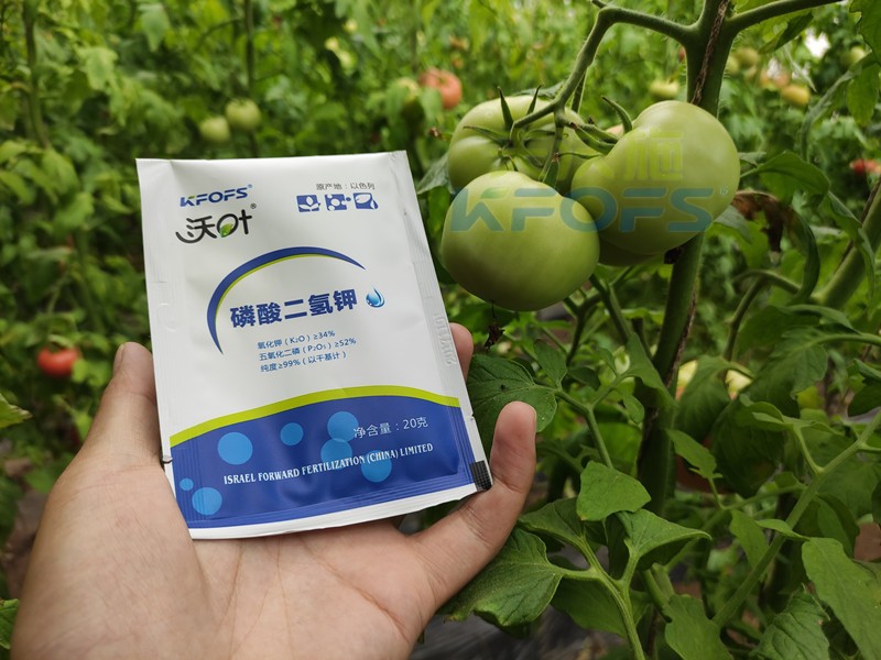 葉面肥磷酸二氫鉀，竟然這么好用！