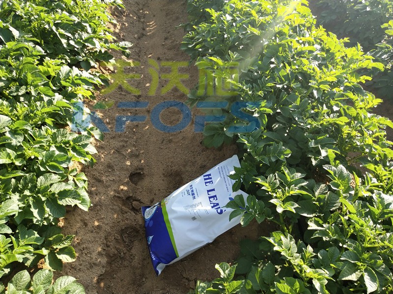 8年種植經(jīng)驗(yàn)老農(nóng)說(shuō)，種土豆用什么肥料好！