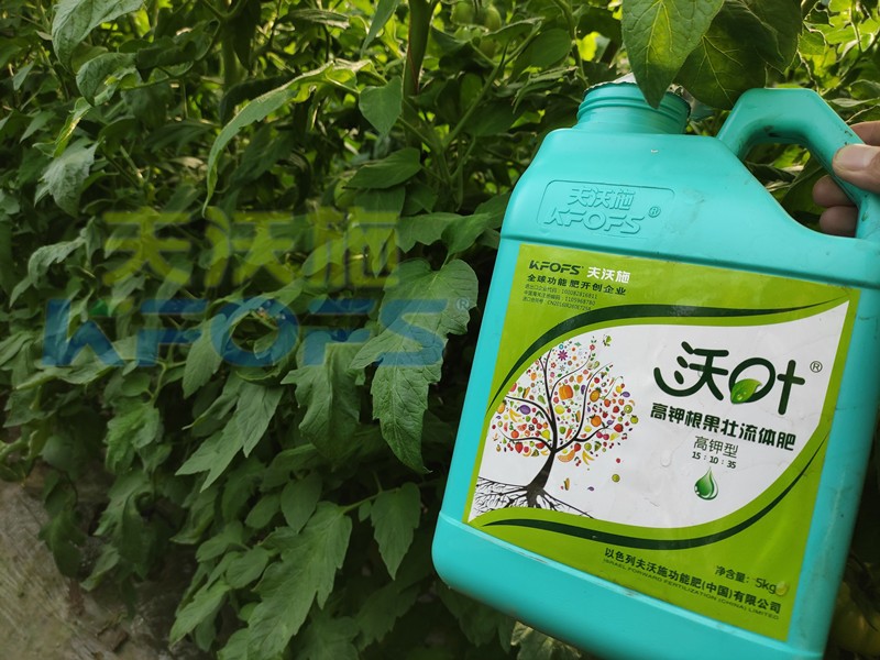 進口水溶肥沃葉，值不值得選？