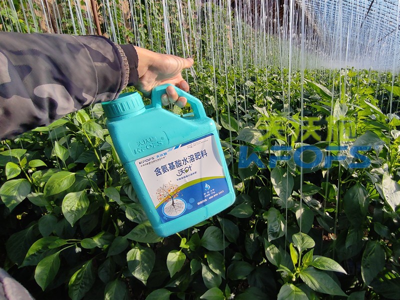 水溶肥一袋多少錢？哪個(gè)品牌值得選？