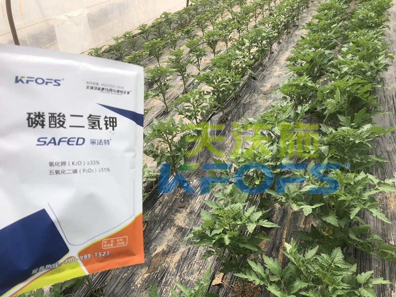 好的磷酸二氫鉀是什么樣的？