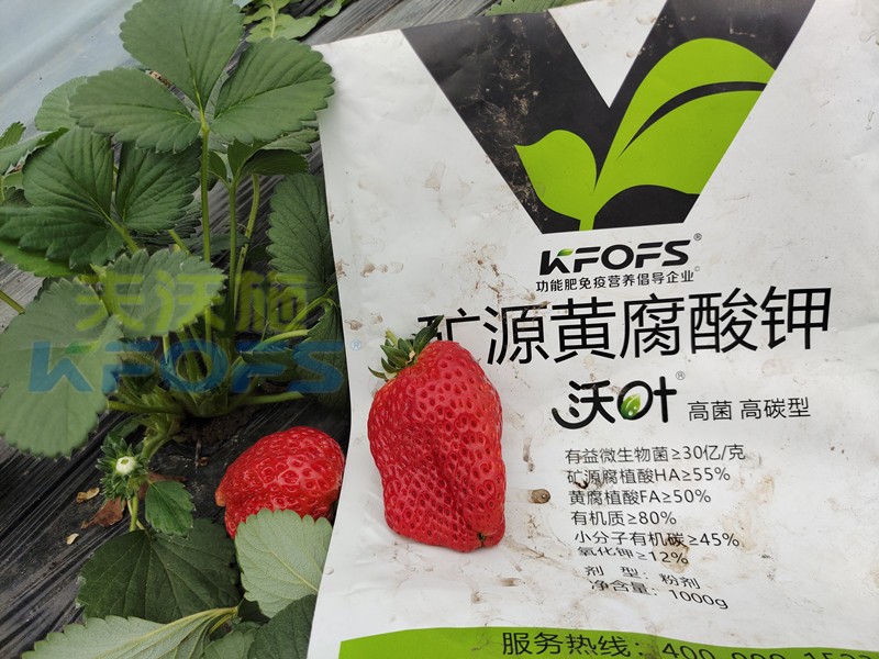 礦源黃腐酸鉀應(yīng)該怎么用？對(duì)于什么土地有效？