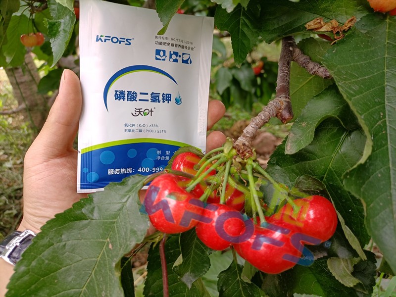 磷酸二氫鉀的正規(guī)廠家哪個好？這些方面要記牢！