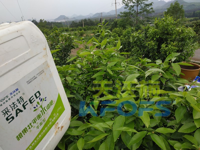 水溶肥的合理價(jià)格究竟如何判斷？這幾點(diǎn)很重要！