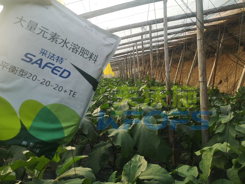 老農資人都認準哪款大量元素水溶肥？