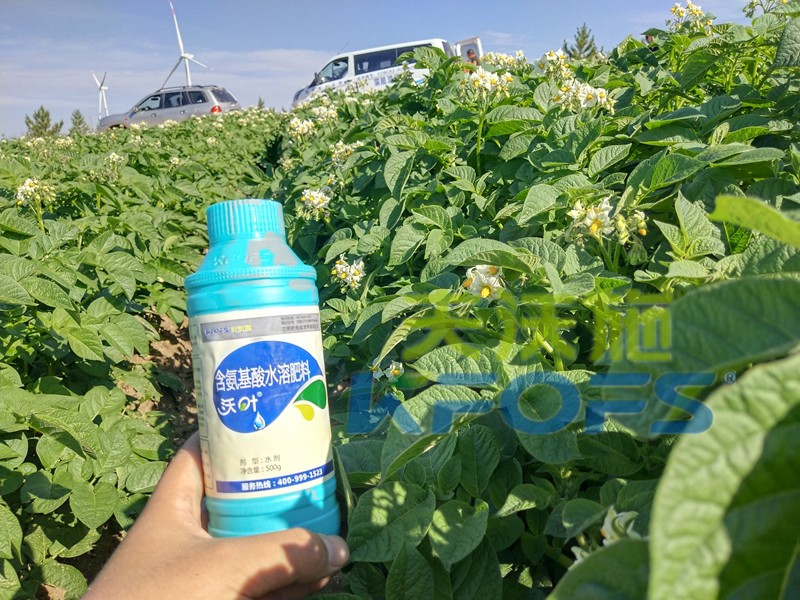 葉面肥價(jià)格不一，如何選？