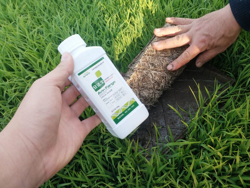 氨基酸水溶肥如何有效解除作物藥害？