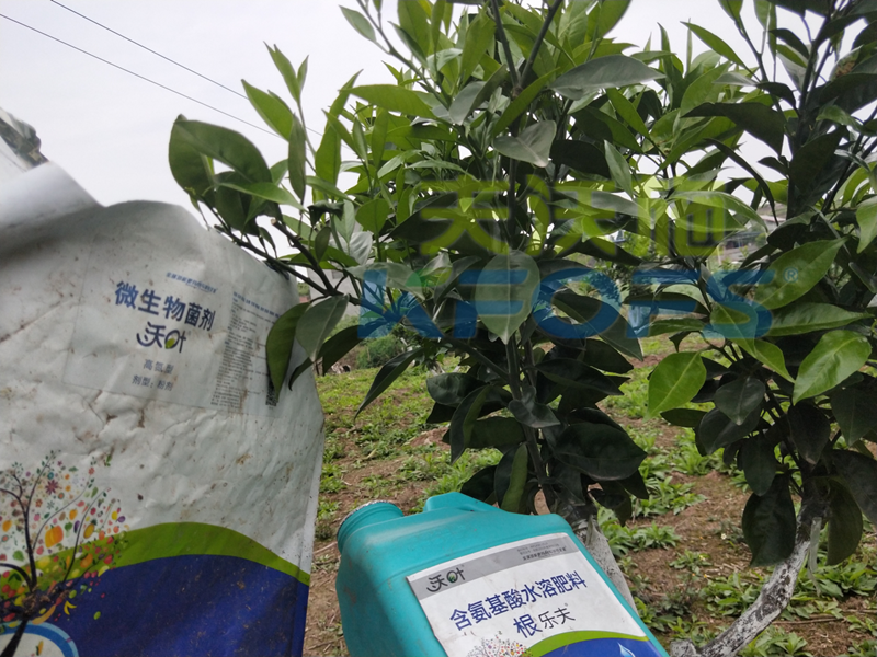 春季果樹用什么肥料好？看看您用對了嗎？