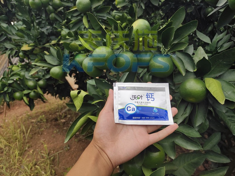 進(jìn)口鈣肥哪個(gè)牌子好？