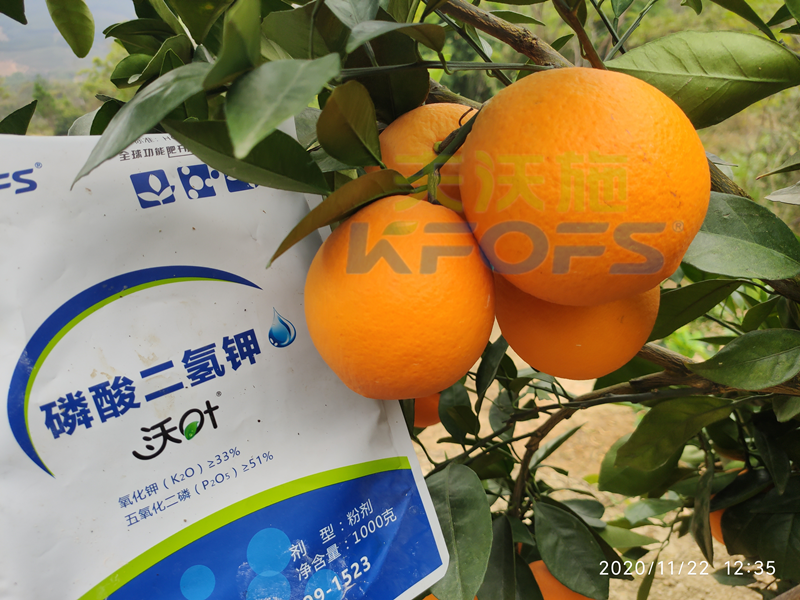 水溶肥市場(chǎng)雜亂無(wú)章，種植朋友該選什么樣的產(chǎn)品？