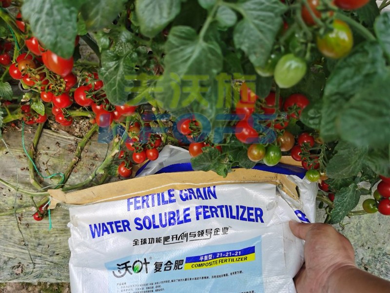 蔬菜用什么肥料好？一探究竟