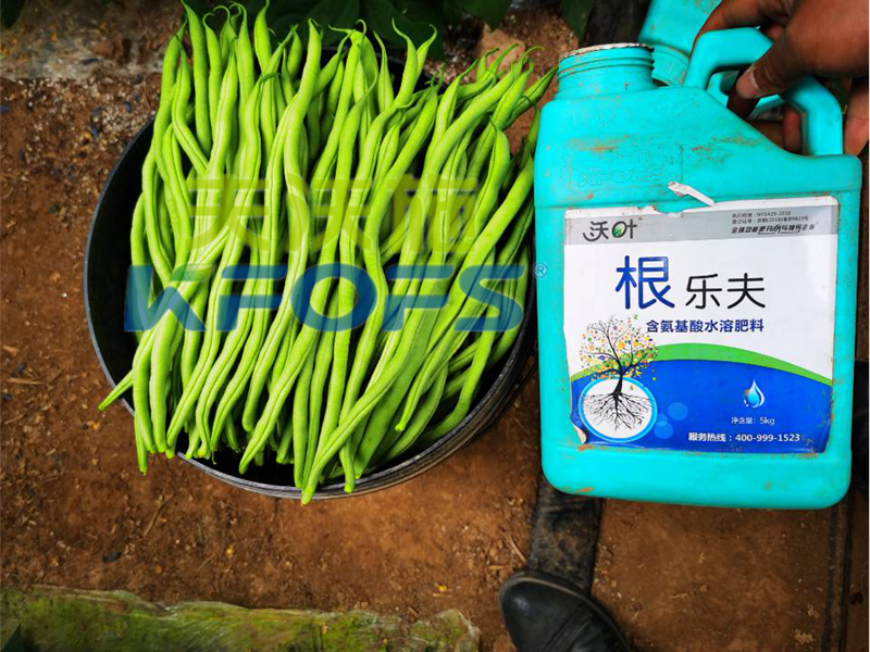 豆角用什么肥料產(chǎn)量高？效益好？