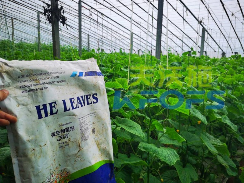 微生物菌劑-黃瓜用沃葉微生物菌劑.jpg