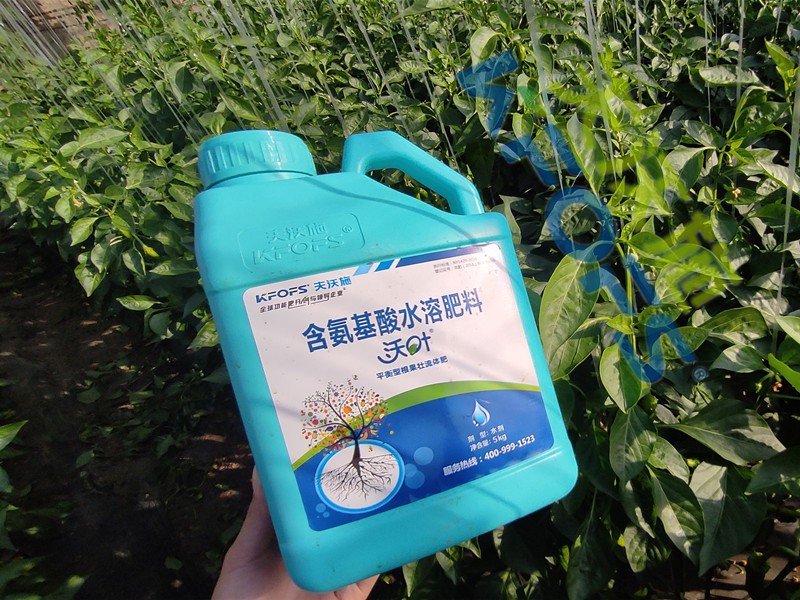 水溶肥與沖施肥有什么區(qū)別？