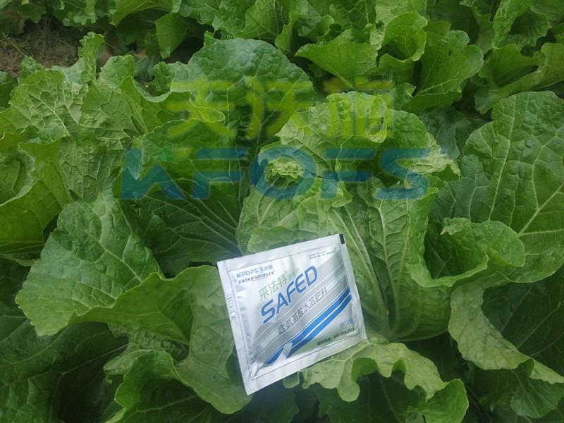 白菜葉面肥哪家好？