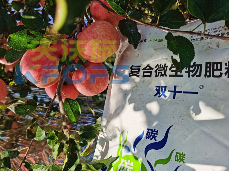 微生物肥料-蘋(píng)果用雙十一微生物肥料.jpg