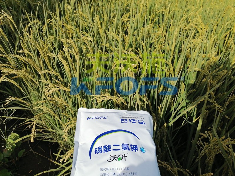 你知道磷酸二氫鉀什么牌子好嗎？