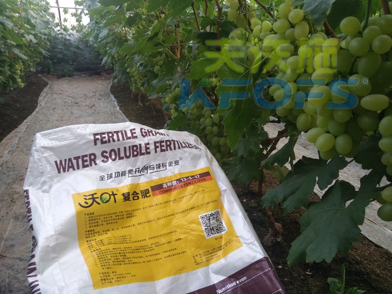 好的水溶肥都具備哪些品質(zhì)？