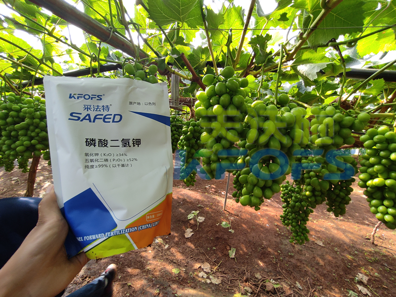 水溶肥競(jìng)爭(zhēng)那么大，農(nóng)資經(jīng)銷商如何打破困境？