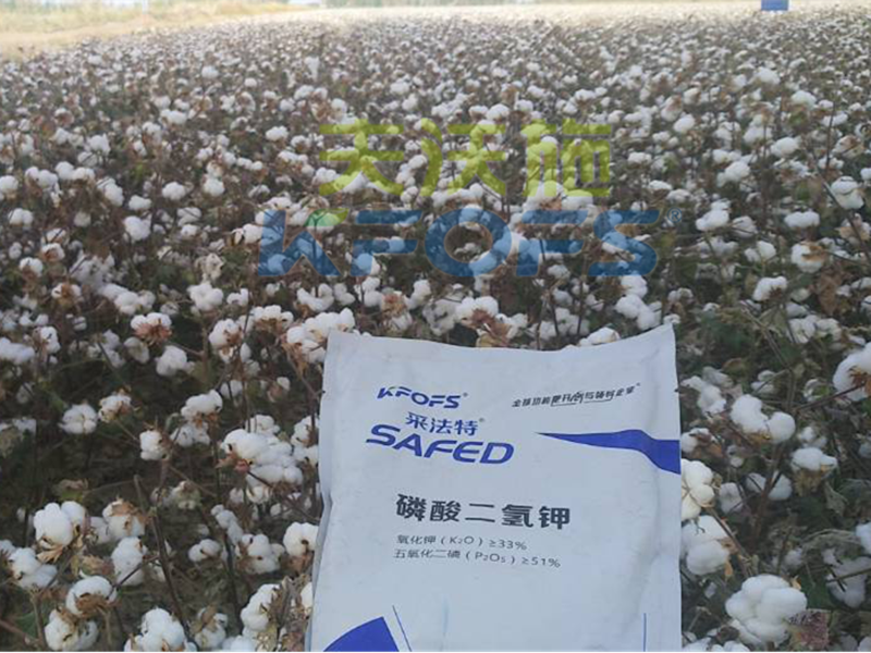 水溶肥哪家好？楊老板說他只信賴采法特！