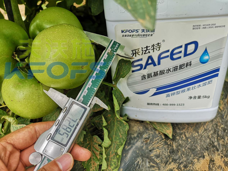 大棚蔬菜冬季用什么肥？